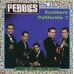 Various PEBBLES Vol.08: Southern California 1 (AIP Records – AIP CD 5025) USA 1996 compilation CD of 60s recordings